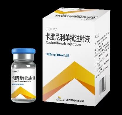 卡度尼利单抗注射液